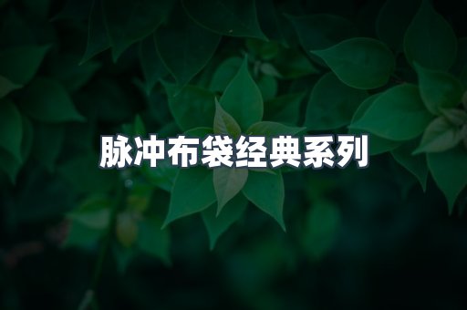 脉冲布袋经典系列