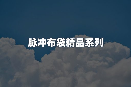 脉冲布袋精品系列
